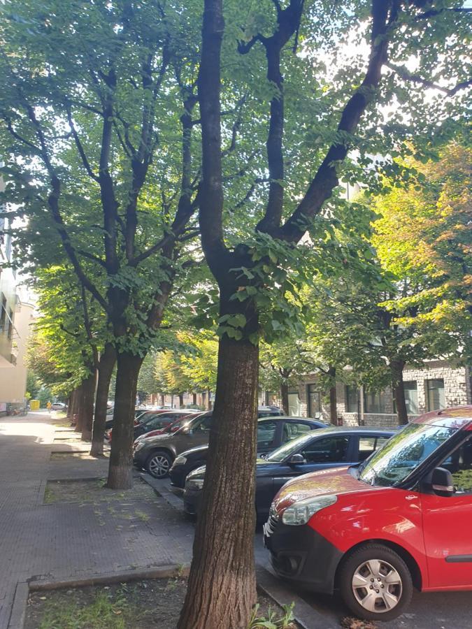 Pellico Stylish Apartments Cuneo Dış mekan fotoğraf